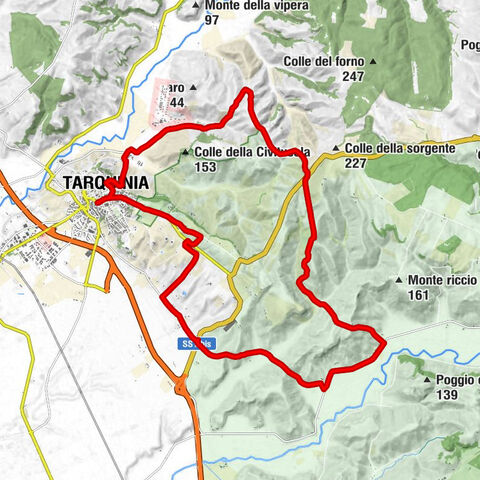 Chiesa di San Francesco - Santissima Trinità - Tarquinia