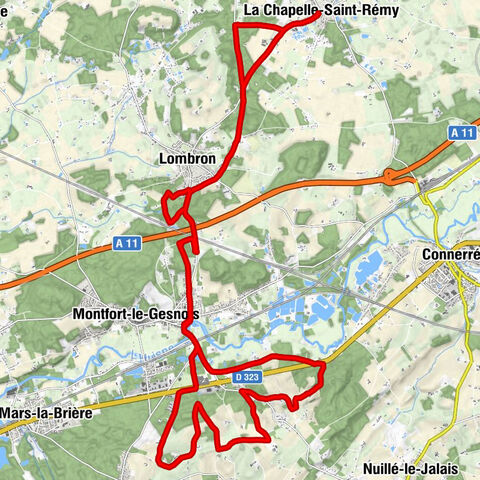 La Chapelle-Saint-Rémy - L'Aiguillonnière - Résidence des Plantes - Église Saint-Gilles