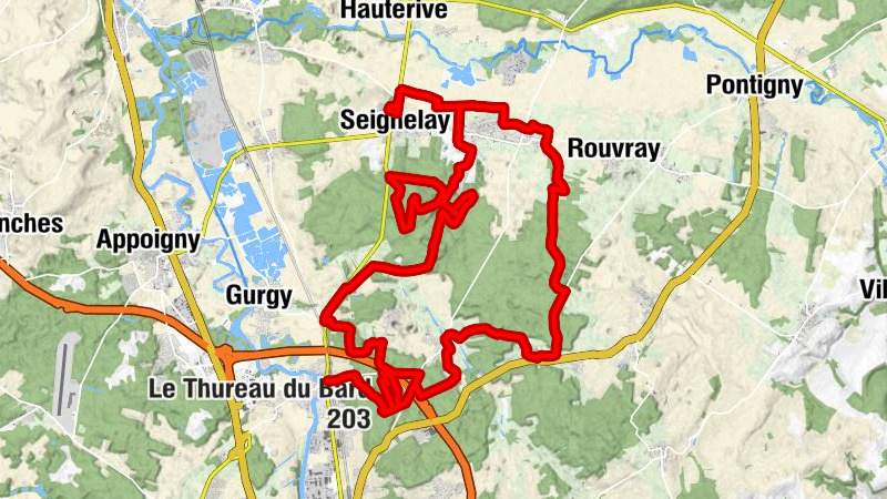 Seignelay - Villeneuve-Saint-Salves - Église Saint-Laurent - Le Thureau du Bard