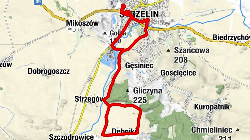 Strzelin - Dębniki - Kościół Matki Chrystusa i św. Jana Apostoła i Ewangelisty