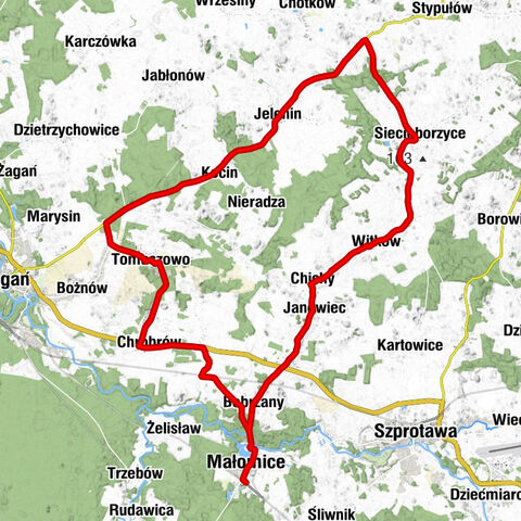 Małomice - Kościół Świętego Augustyna - Kościół filialny Matki Boskiej Rokitniańskiej i św. Michała - Kościół św. Jana Chrzciciela