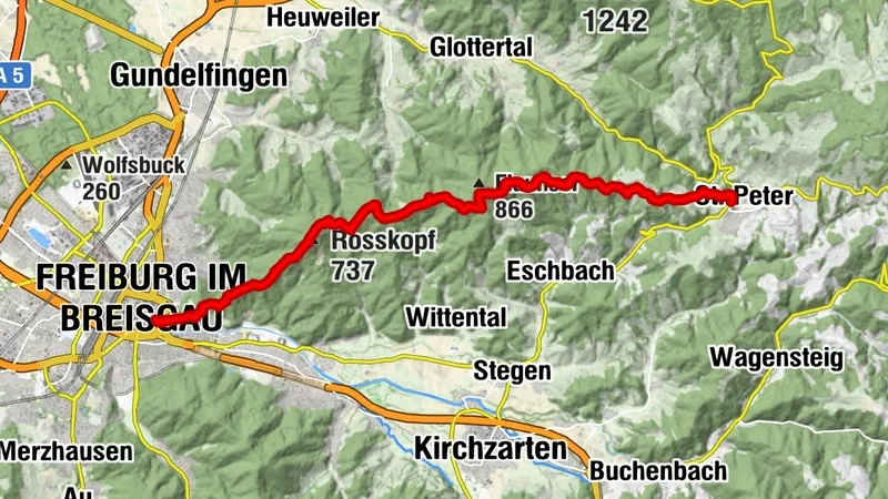 On the Kandelhöhenweg from St. Peter to Freiburg