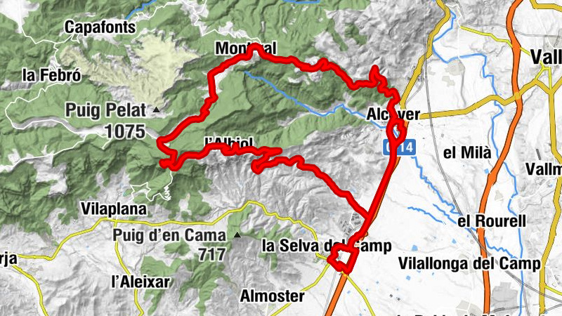 Alcover - Església de Sant Miquel - les Torratxes