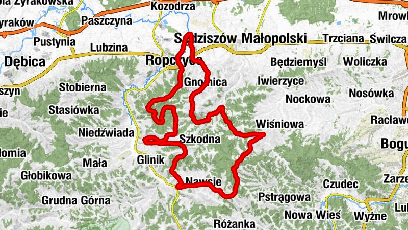 Pietrzejowa - Kościół pw. św. Wojciecha - Kościół pw. św. Michała Archanioła - Witkowice Dolne