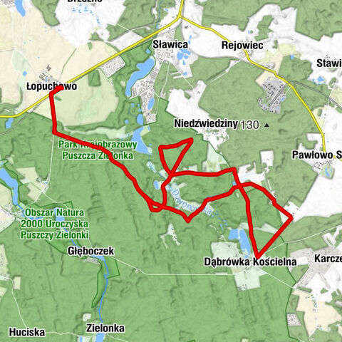 Łopuchowo - Dąbrówka Kościelna - Dzwonowo