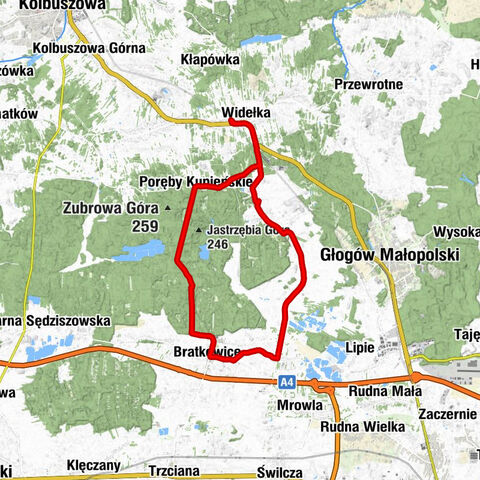 Wielka Widełka - Kościół pw. Niepokalanego Serca NMP - Kościół pw. św. Jana Chrzciciela - Widełka