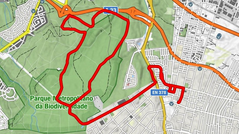 Fernão Ferro - Quinta Girassóis - Amora