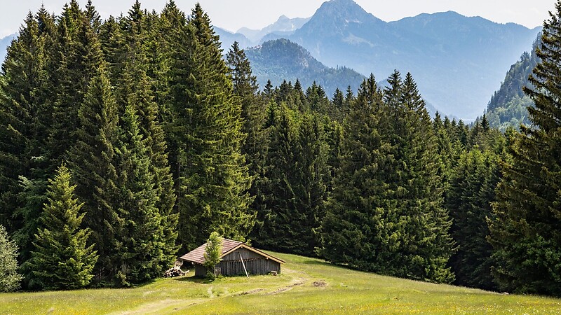 Zemljevid