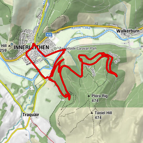 Saffron - Innerleithen - Caddonbank Wood