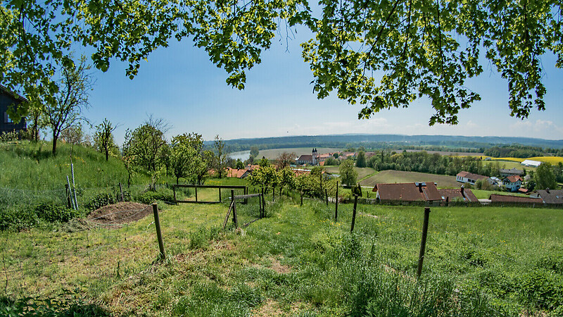 Zemljevid