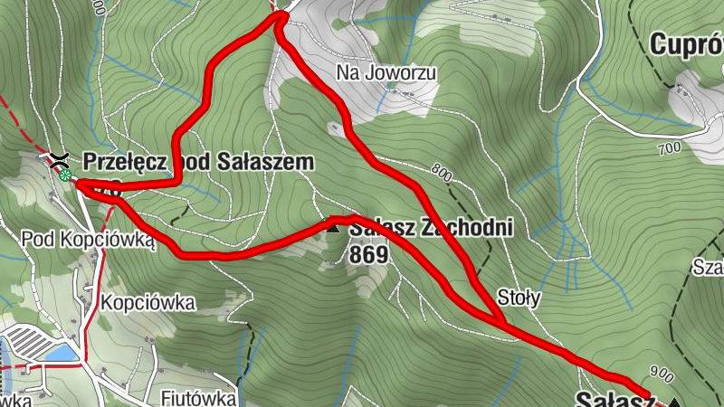 Ostre - Sałasz Zachodni - Sałasz - Przełęcz pod Sałaszem