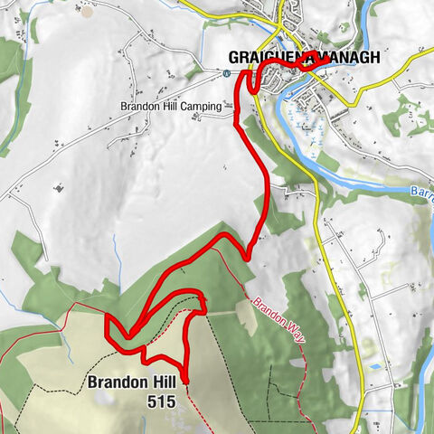 Waterside Restaurant - Brandon Hill - River Palace - Chinese and Thai Restaurant - Duiske Abbey