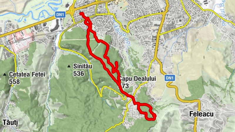 Cluj-Napoca - Șaua Páter - Capu Dealului