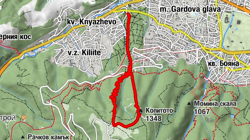 Zemljevid