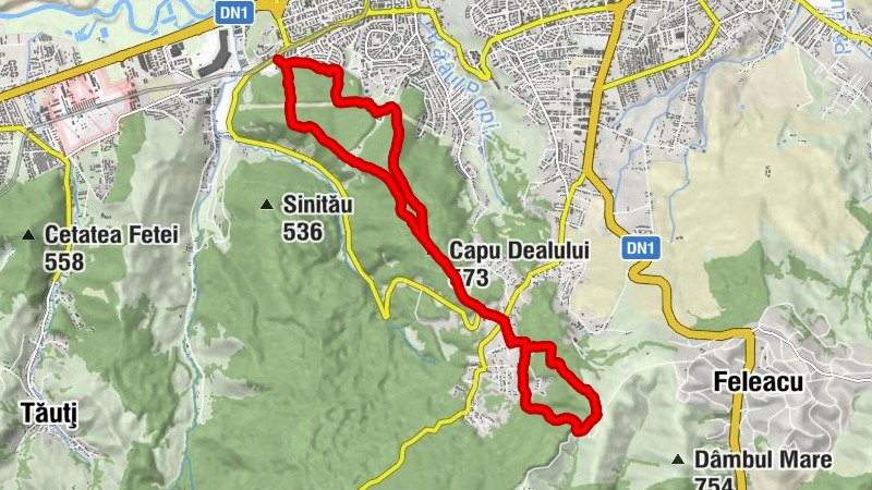 Cluj-Napoca - Diós - Șaua Páter - Capu Dealului