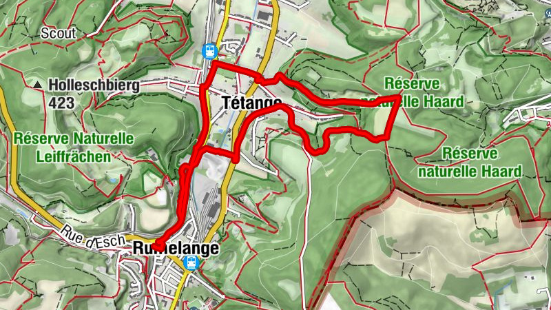 Zemljevid