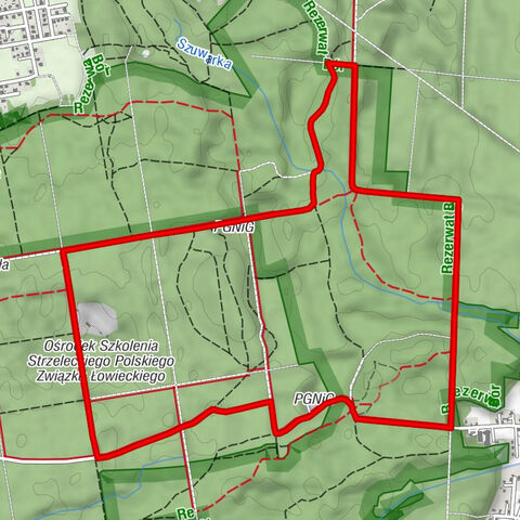 Głogów Małopolski - Wyschnięte oczko wodne