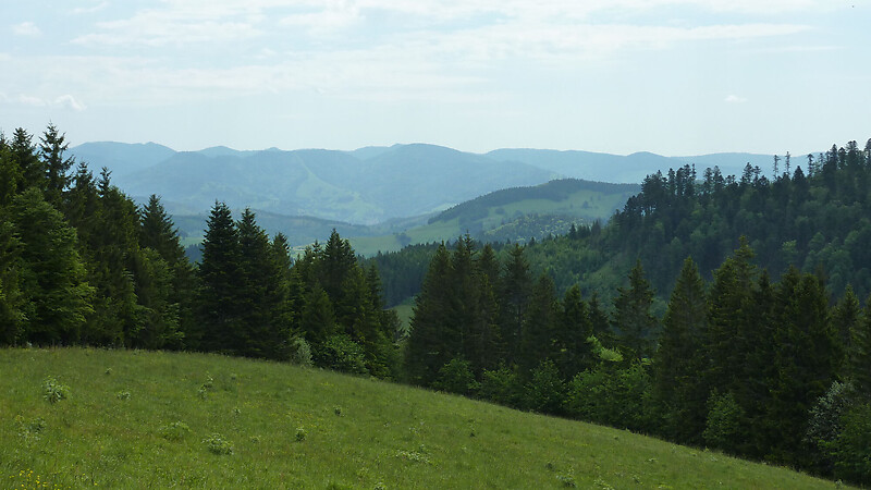 Zemljevid