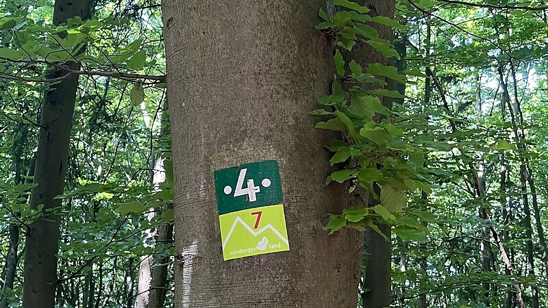 Zemljevid