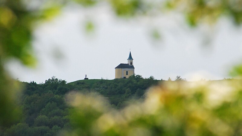 Zemljevid