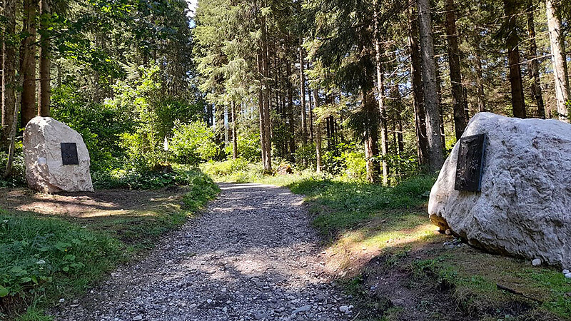 Zemljevid