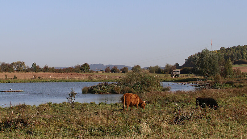 Zemljevid
