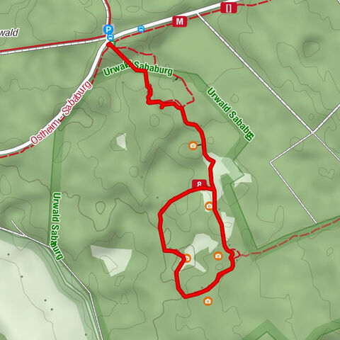 Urwald Sababurg - Rundweg (orange/Eichenblatt)