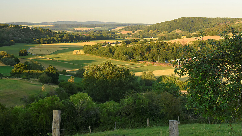 Zemljevid