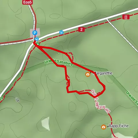Urwald Sababurg - Rundweg (gelb/Hirschkäfer)