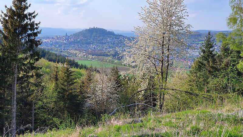 Zemljevid