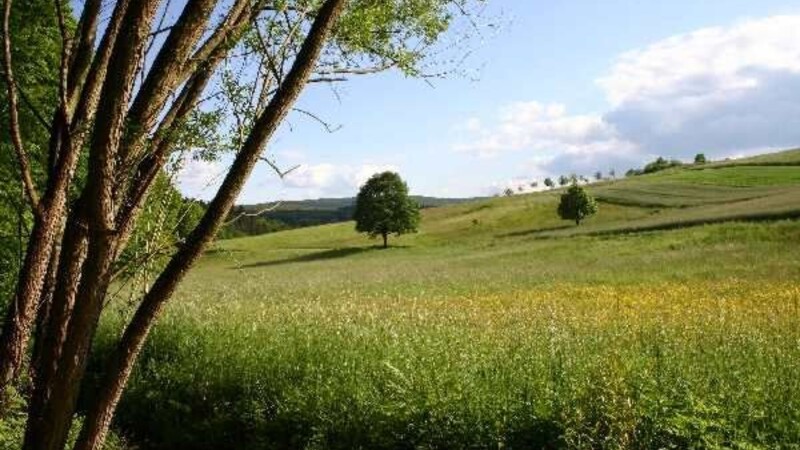 Zemljevid