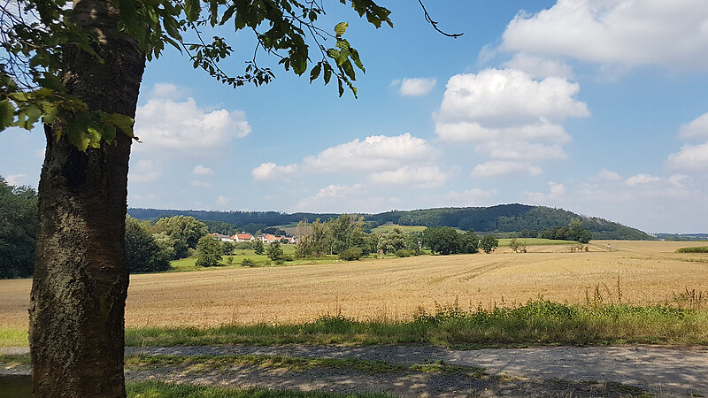 Zemljevid