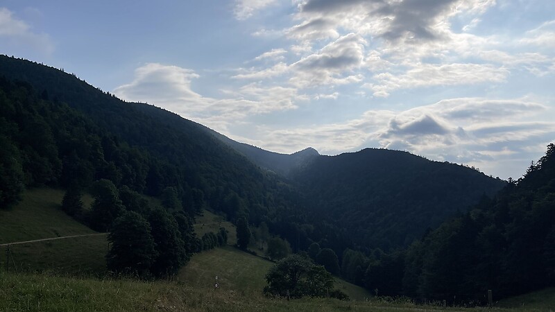 Zemljevid