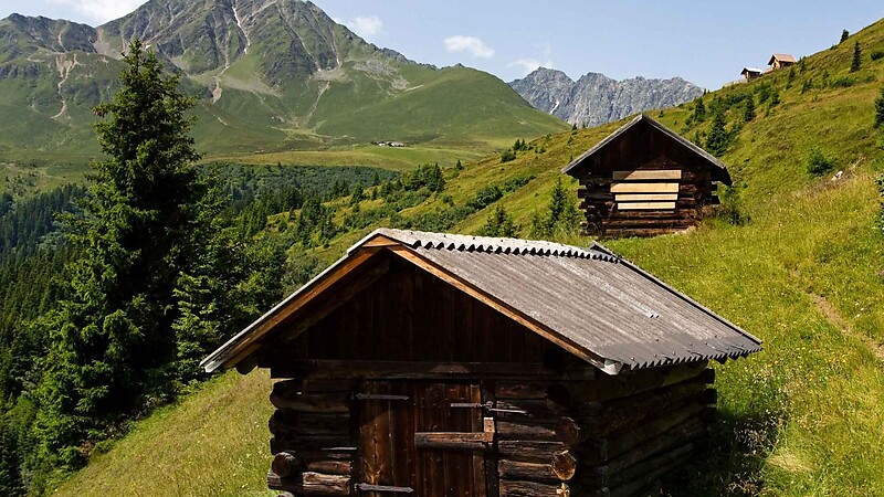 Zemljevid