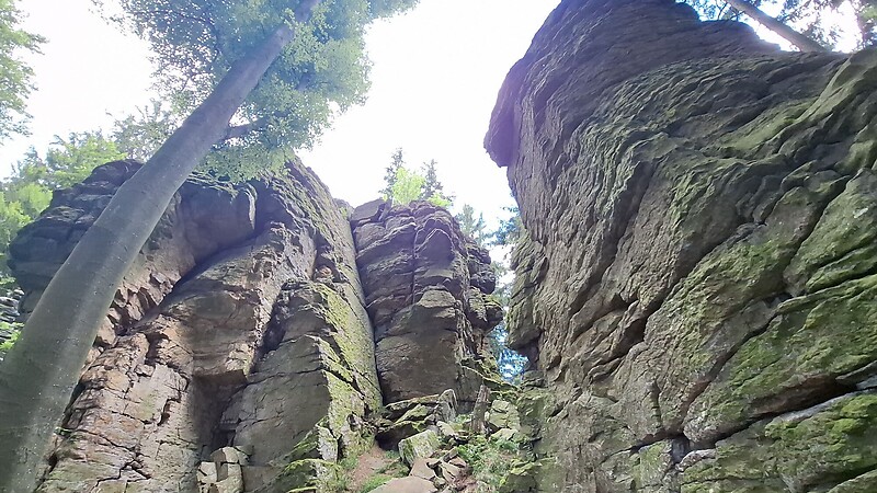 Zemljevid