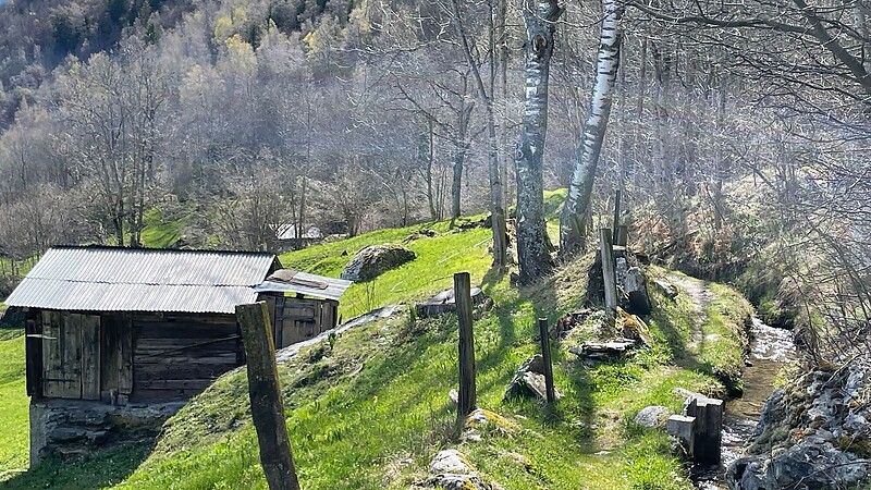 Zemljevid