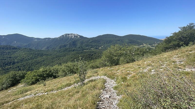 Zemljevid