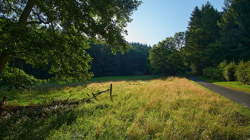 Zemljevid