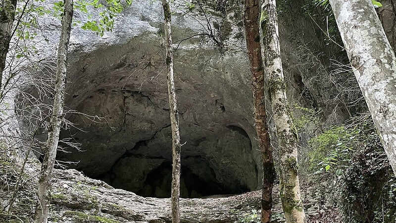 Zemljevid
