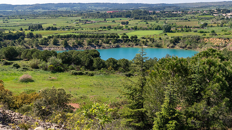 Zemljevid