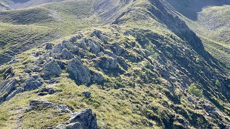 Zemljevid