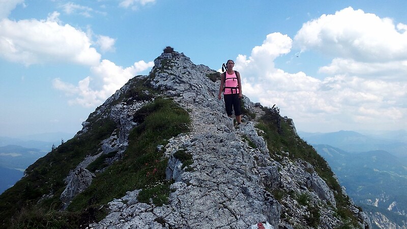Zemljevid