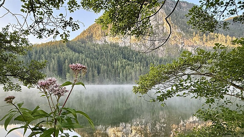 Zemljevid