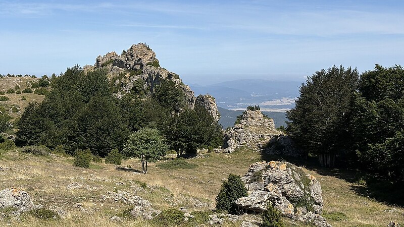 Zemljevid