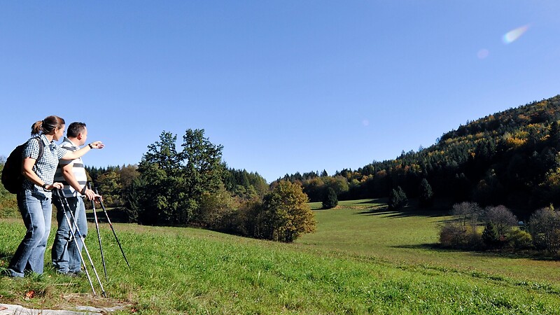 Zemljevid