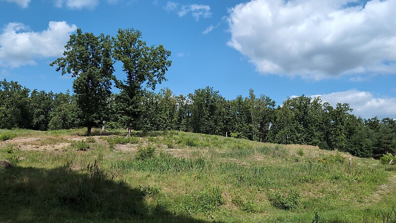 Zemljevid