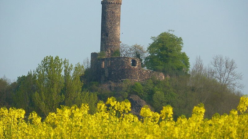 Zemljevid