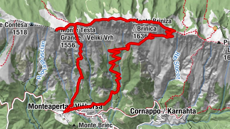 Ring of Gran Monte and Briniza