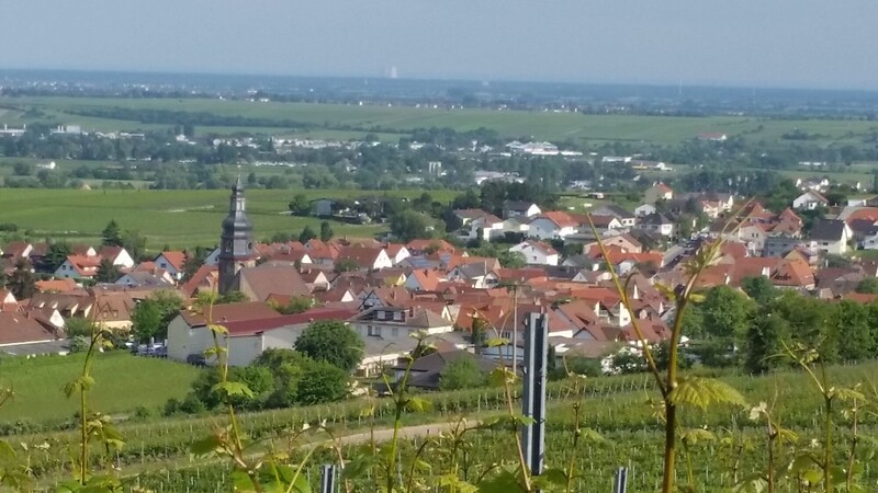 Zemljevid