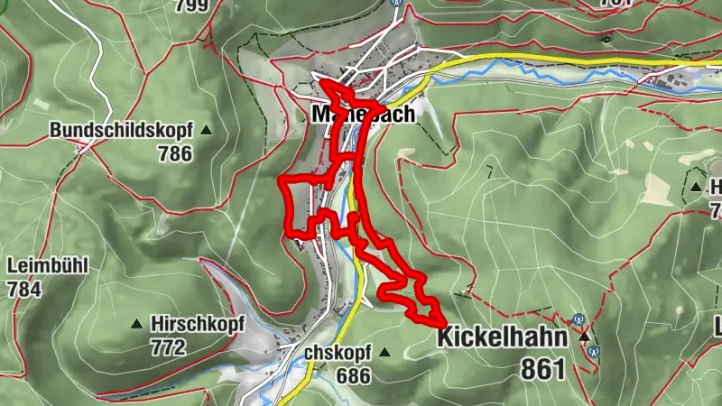 Circular hiking trail - "GEO - Route" Manebach - Kammerberg - Thuringian Forest